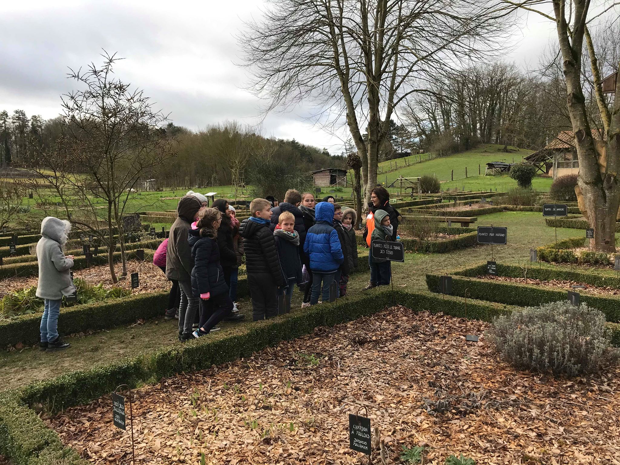 86728929 590786644834979 5831001884864806912 n