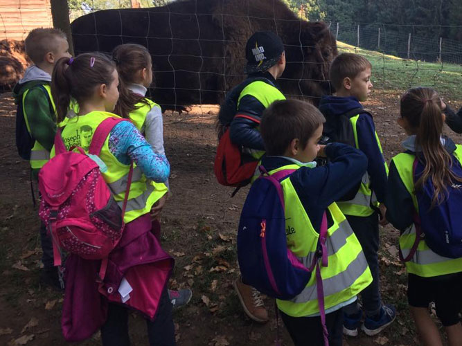 s 42465693 243764612979158 8308034121469263872 n