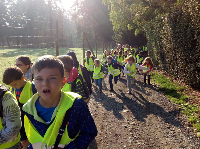 3&egrave;me et 4&egrave;me ann&eacute;e