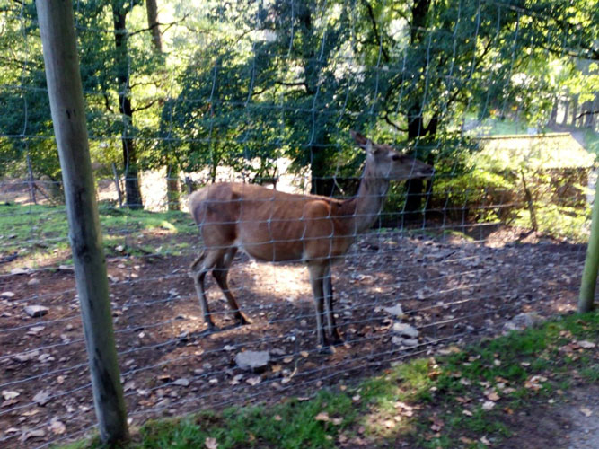 3&egrave;me et 4&egrave;me ann&eacute;e