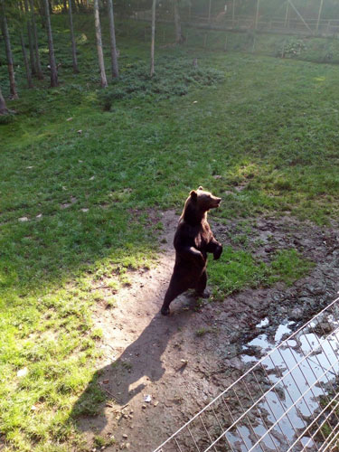 3&egrave;me et 4&egrave;me ann&eacute;e