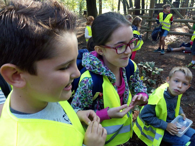 3&egrave;me et 4&egrave;me ann&eacute;e