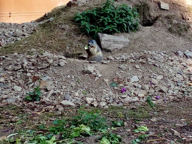 3&egrave;me et 4&egrave;me ann&eacute;e