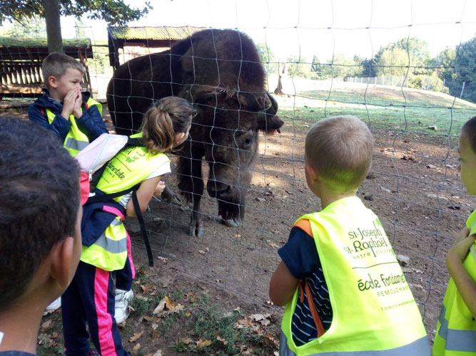 3&egrave;me et 4&egrave;me ann&eacute;e