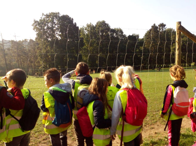 3&egrave;me et 4&egrave;me ann&eacute;e