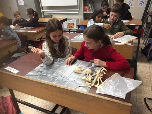 72381307 427631361105304 2263808159992774656 n