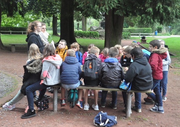 Saint Joseph Remouchamps école fondamentale maternelle primaire Heid des Gattes 50