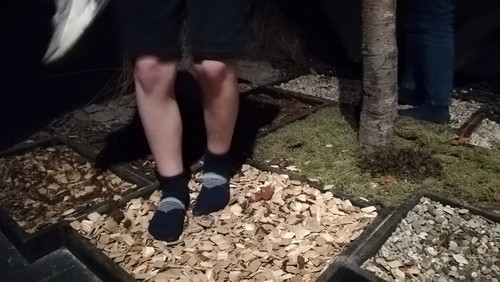 Fagne saint joseph remouchamps école fondamentale maternel primaire 1