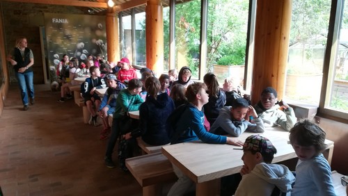 Fagne saint joseph remouchamps école fondamentale maternel primaire 1