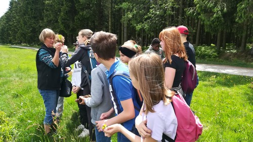 Fagne saint joseph remouchamps école fondamentale maternel primaire 1