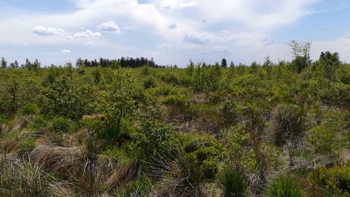 Fagne saint joseph remouchamps école fondamentale maternel primaire 1