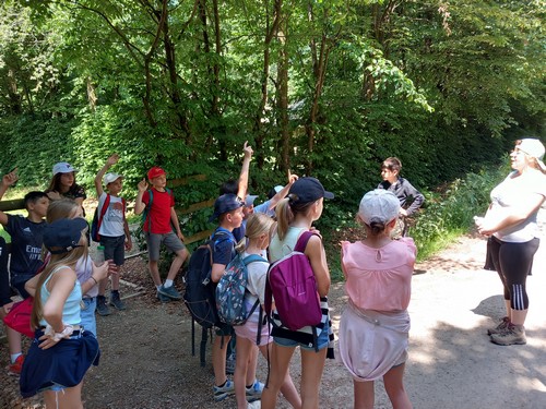 fagnes saint joseph remouchamps école fondamentale maternel primaire 1