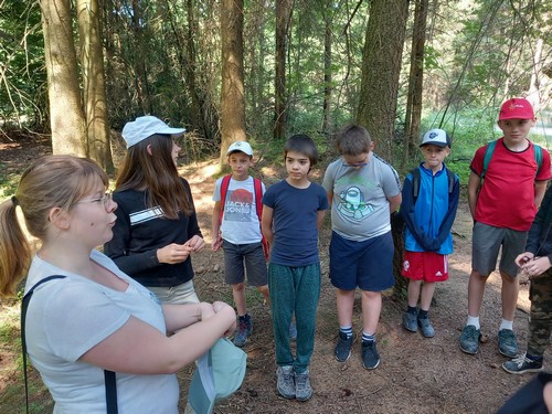 fagnes saint joseph remouchamps école fondamentale maternel primaire 1