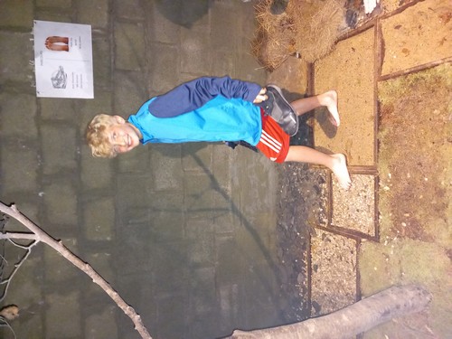 fagnes saint joseph remouchamps école fondamentale maternel primaire 1