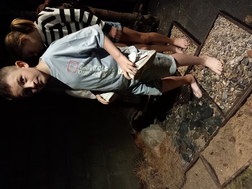 fagnes saint joseph remouchamps école fondamentale maternel primaire 1