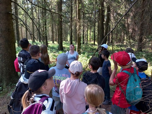 fagnes saint joseph remouchamps école fondamentale maternel primaire 1