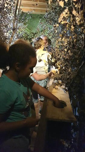 fagnes saint joseph remouchamps école fondamentale maternel primaire 1