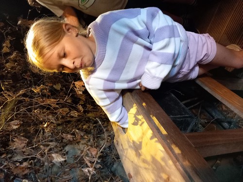 fagnes saint joseph remouchamps école fondamentale maternel primaire 1