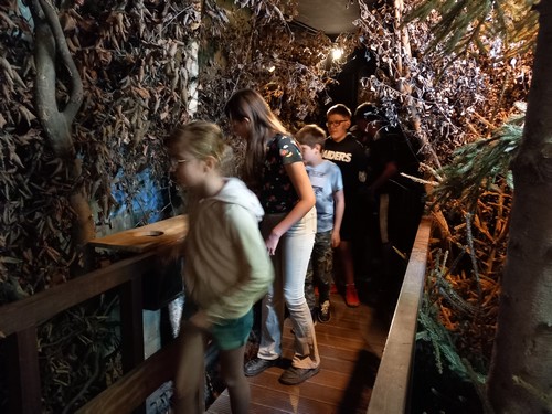 fagnes saint joseph remouchamps école fondamentale maternel primaire 1