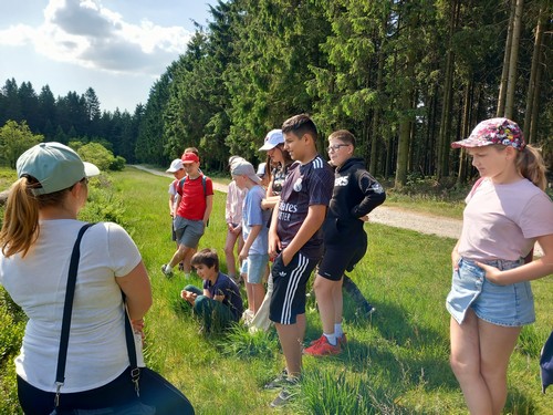 fagnes saint joseph remouchamps école fondamentale maternel primaire 1