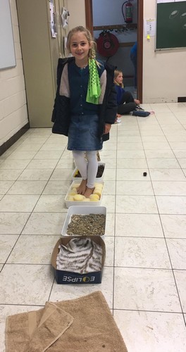 fancy fair saint joseph remouchamps école fondamentale maternel primaire 1