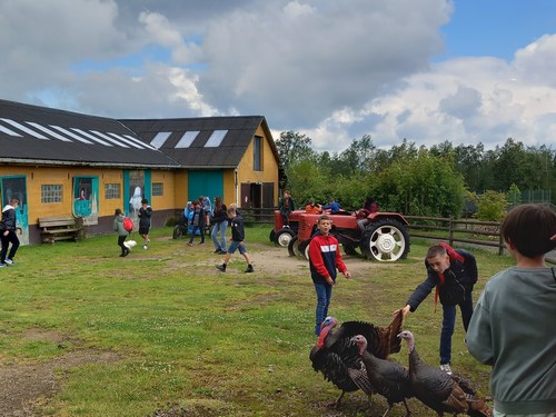 ms saint joseph remouchamps école fondamentale maternel primaire 0
