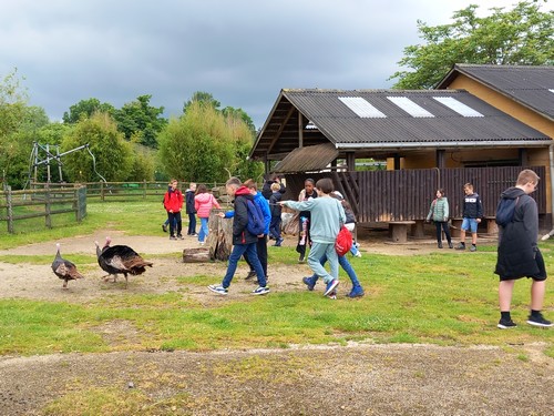 ms saint joseph remouchamps école fondamentale maternel primaire 0