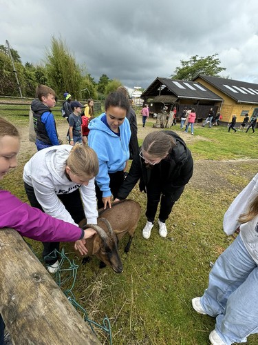 ms saint joseph remouchamps école fondamentale maternel primaire 0
