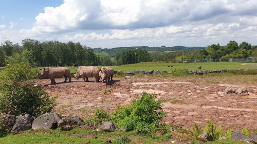 ms saint joseph remouchamps école fondamentale maternel primaire 0