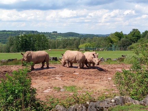 ms saint joseph remouchamps école fondamentale maternel primaire 0