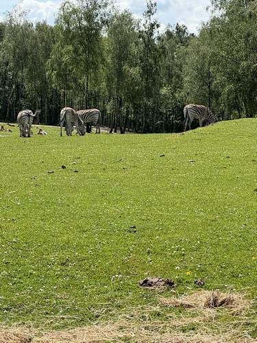 ms saint joseph remouchamps école fondamentale maternel primaire 0