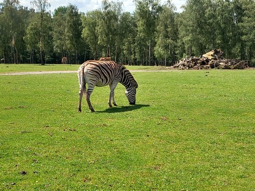 ms saint joseph remouchamps école fondamentale maternel primaire 0