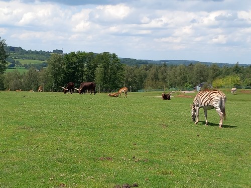ms saint joseph remouchamps école fondamentale maternel primaire 0