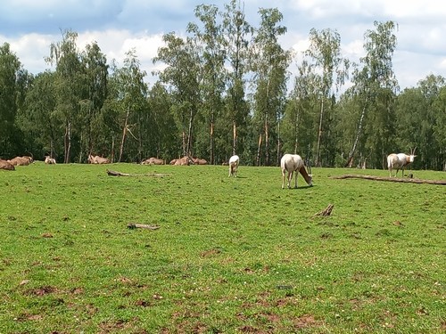 ms saint joseph remouchamps école fondamentale maternel primaire 0