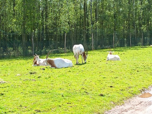 ms saint joseph remouchamps école fondamentale maternel primaire 0