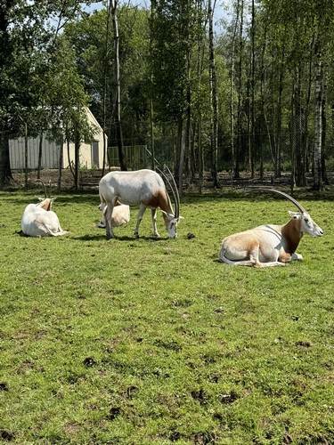 ms saint joseph remouchamps école fondamentale maternel primaire 0