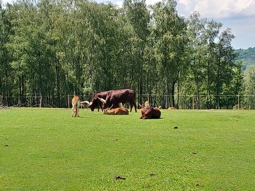 ms saint joseph remouchamps école fondamentale maternel primaire 0