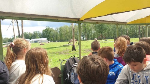 ms saint joseph remouchamps école fondamentale maternel primaire 0