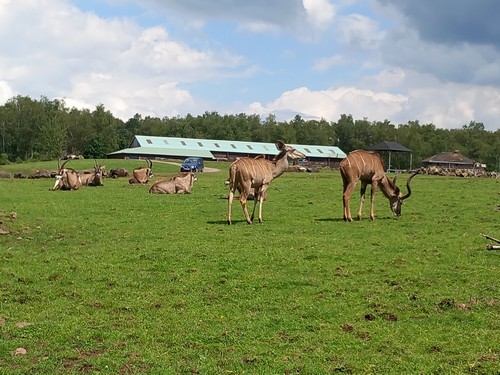 ms saint joseph remouchamps école fondamentale maternel primaire 0