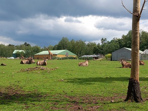 ms saint joseph remouchamps école fondamentale maternel primaire 0