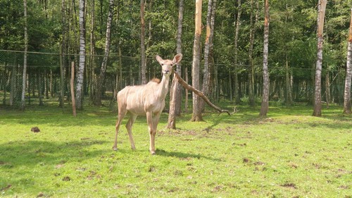 ms saint joseph remouchamps école fondamentale maternel primaire 0
