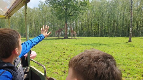 ms saint joseph remouchamps école fondamentale maternel primaire 0