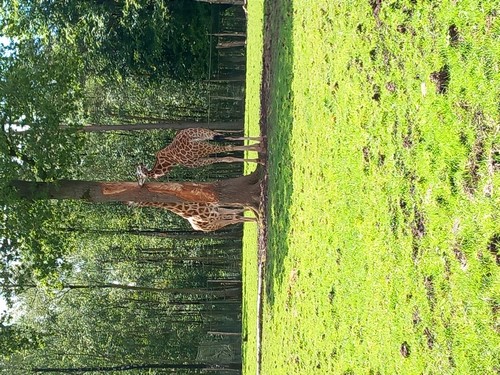 ms saint joseph remouchamps école fondamentale maternel primaire 0