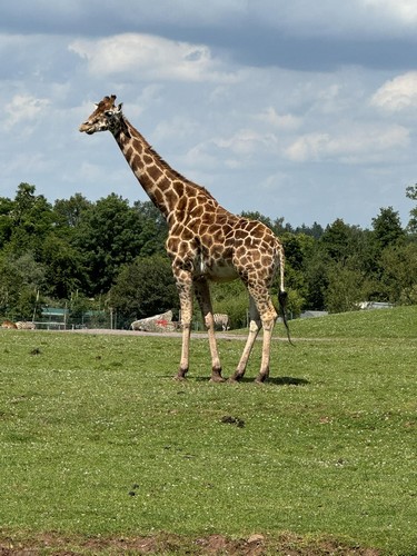 ms saint joseph remouchamps école fondamentale maternel primaire 0