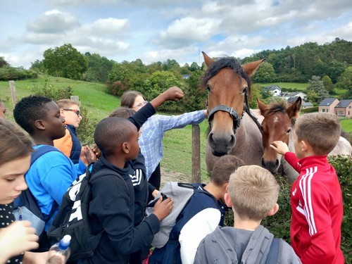 balade P5 saint joseph remouchamps école fondamentale maternel primaire 1