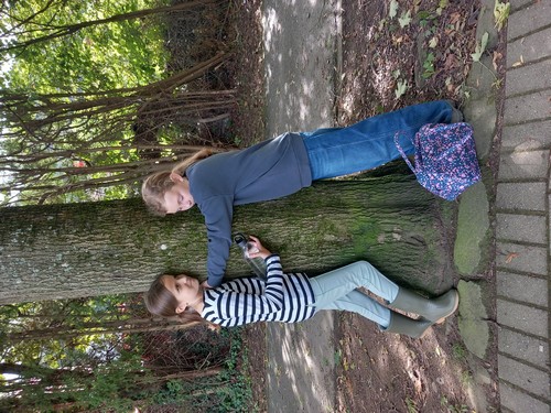 balade P5 saint joseph remouchamps école fondamentale maternel primaire 1