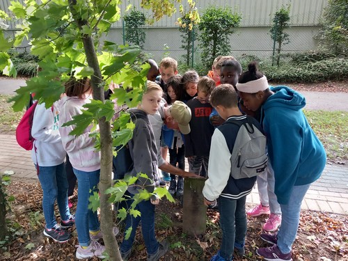 balade P5 saint joseph remouchamps école fondamentale maternel primaire 1
