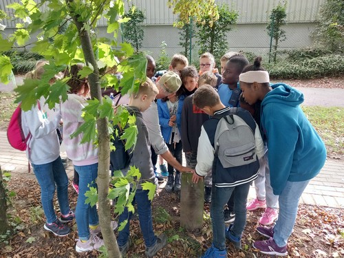balade P5 saint joseph remouchamps école fondamentale maternel primaire 1