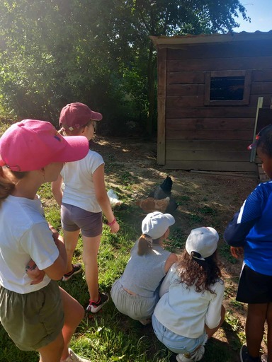 515356193 1295933339199054 4175609035719579751 n