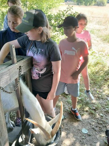 515356193 1295933339199054 4175609035719579751 n